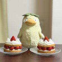 kurokiさんの写真