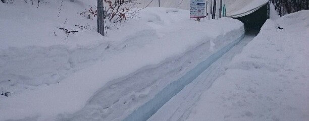 Fu's snow area 札幌市藤野野外スポーツ交流施設