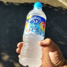 f_souさんの写真