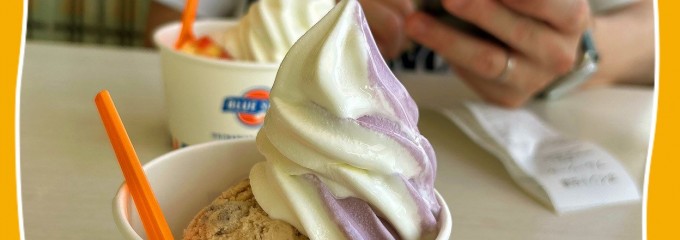 ブルーシール 豊崎店