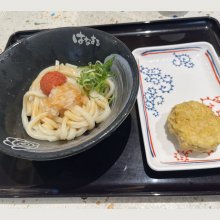 mayuayayuさんの写真