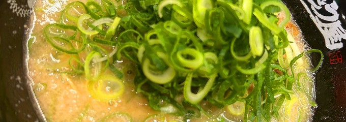 ラー麺ずんどう屋 綱島店