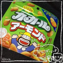 f_souさんの写真