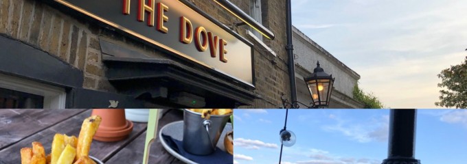 The Dove