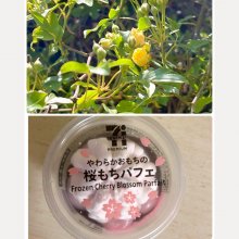 rose720さんの写真