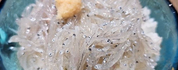 志ま根
