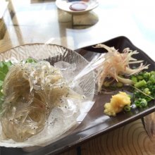 hirarin0617さんの写真
