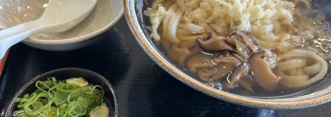 本手打ちうどん白川