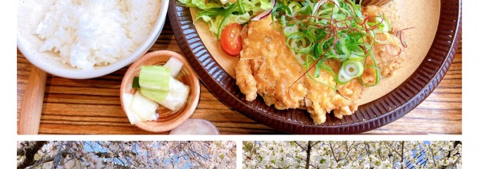 鶏食堂バル TORIICHI ミント神戸店