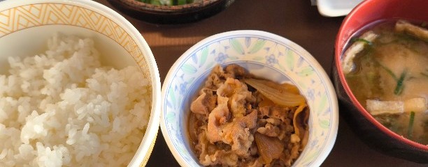 すき家 412号厚木中荻野店