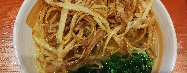 あご出汁うどん こがね丸
