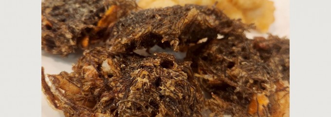 唄やしき キジムナー