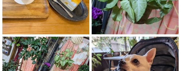 カワセミグリンパーク