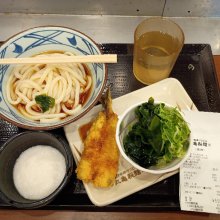 necoscardさんの写真