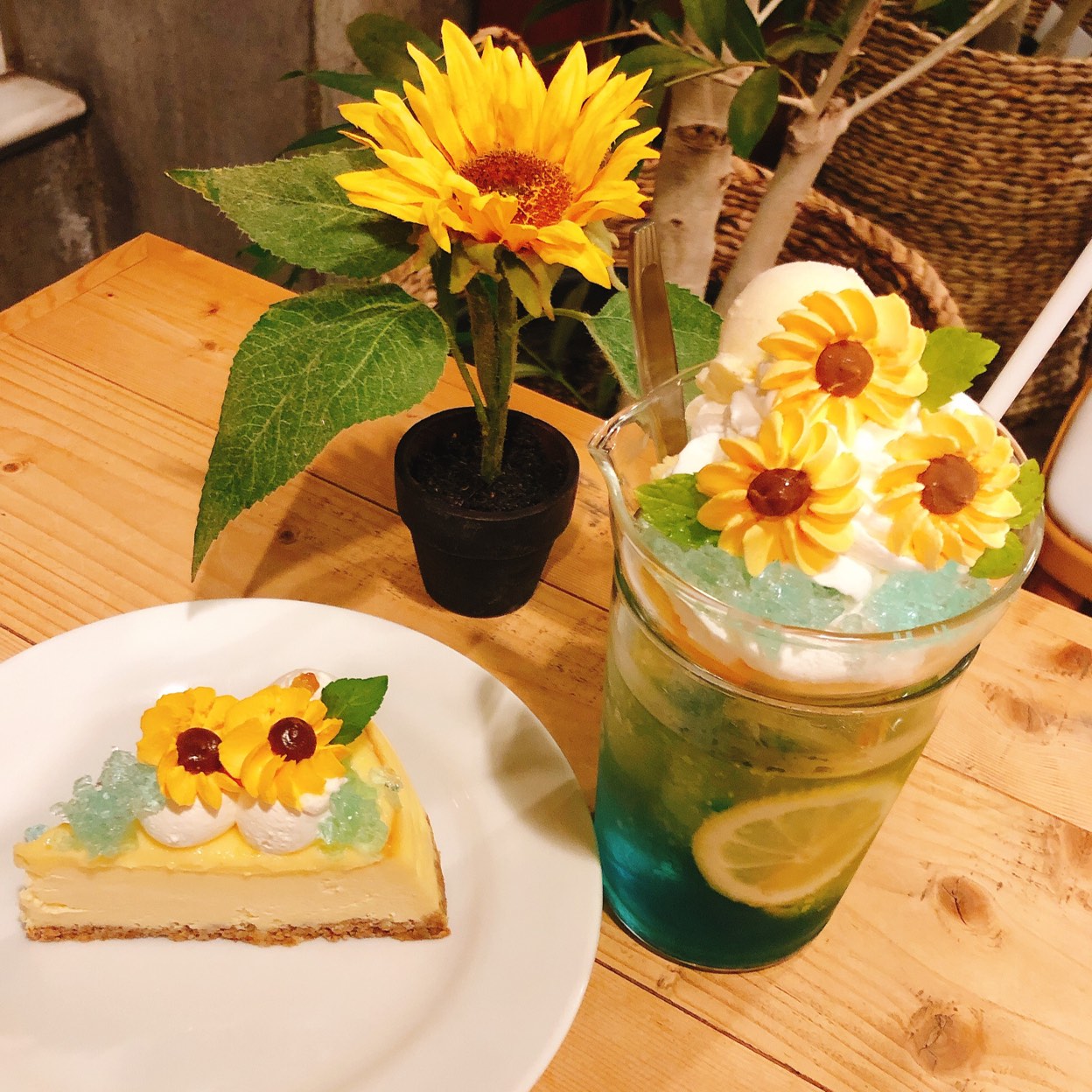 サンデー ブランチ 下北沢 店
