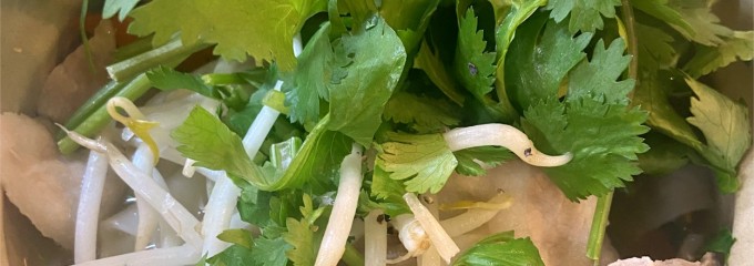 チョップスティックス