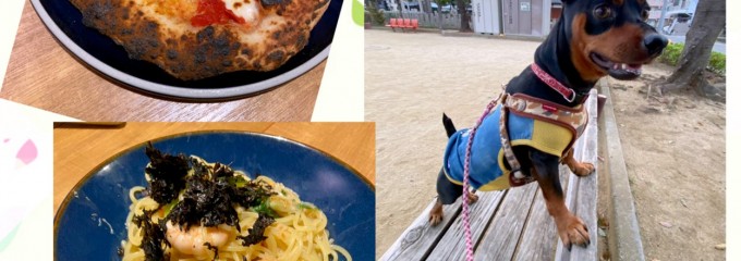 ピソラ 八尾高美店