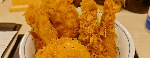 かつや 愛知豊橋新栄店