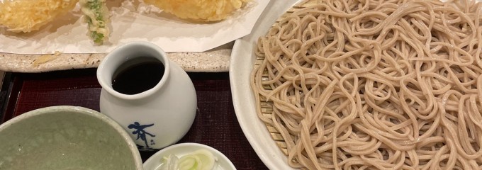 更科 斎とう
