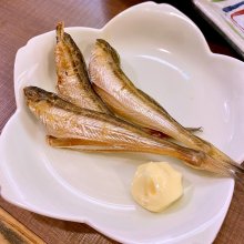 scaenaさんの写真