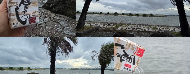 葛西臨海公園