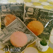 sea_bloomさんの写真