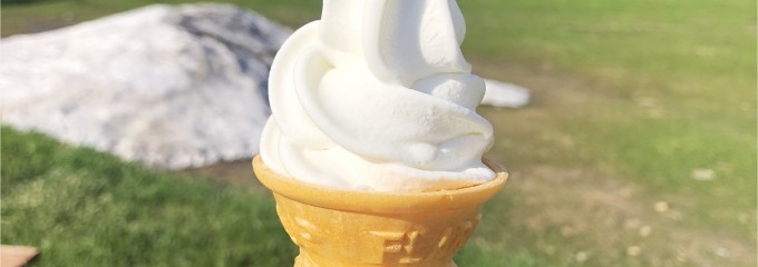 カウ&カーフ
