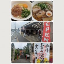 kinokodaimaouさんの写真