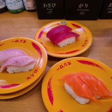 masa1919さんの写真