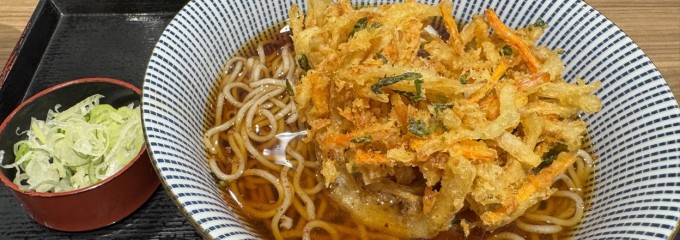 そばいち グランスタ東京店