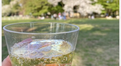 砧公園 お花見