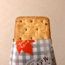 mozproductionさんの写真