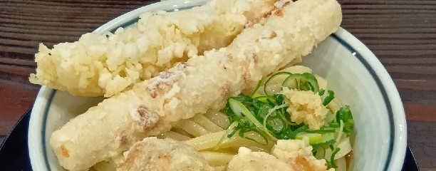 自家製生うどん 饂飩頑陣