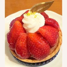 yoshi44104410さんの写真