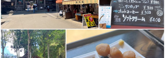 はやとみ
