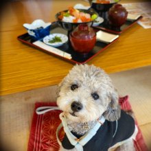 minor_chanさんの写真