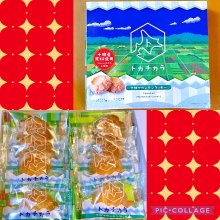 mugunghwa0524さんの写真