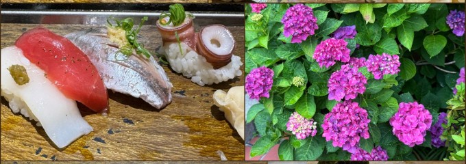 築地すし兆 アトレ大船店
