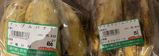 道の駅 許田
