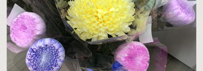 道の駅 とよはし