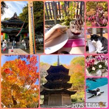 kanaharu313さんの写真