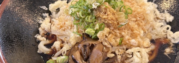 本手打ちうどん白川