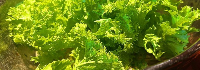 汁なし担担麺専門 キング軒 本通店