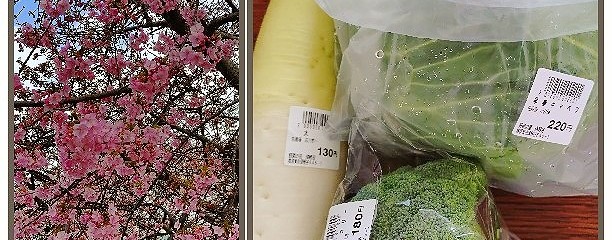 野菜の里 須軽谷