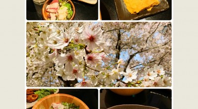 大宮公園 お花見