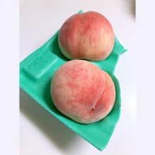 teru03321さんの写真