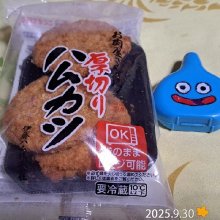 phatu_tendonさんの写真