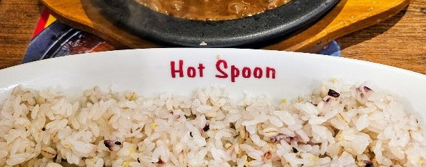 手作りカレー Hot Spoon
