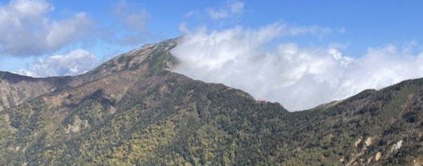 種池山荘