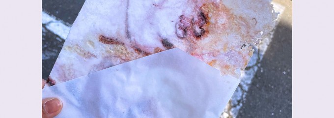 丸焼きたこせんべい 松島東北本店